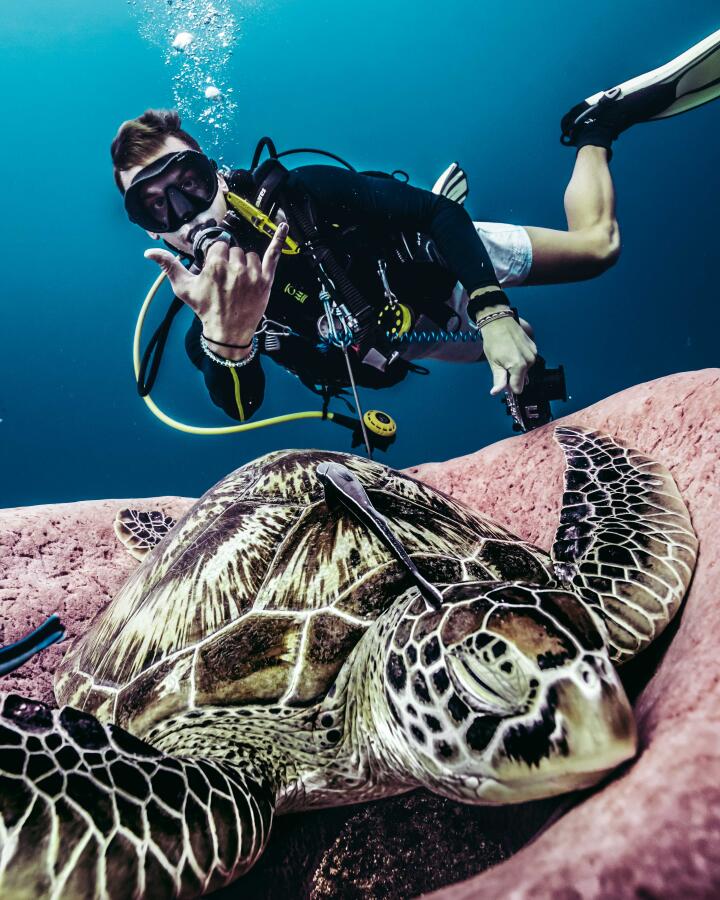 Zee, snorkelen, traag leven